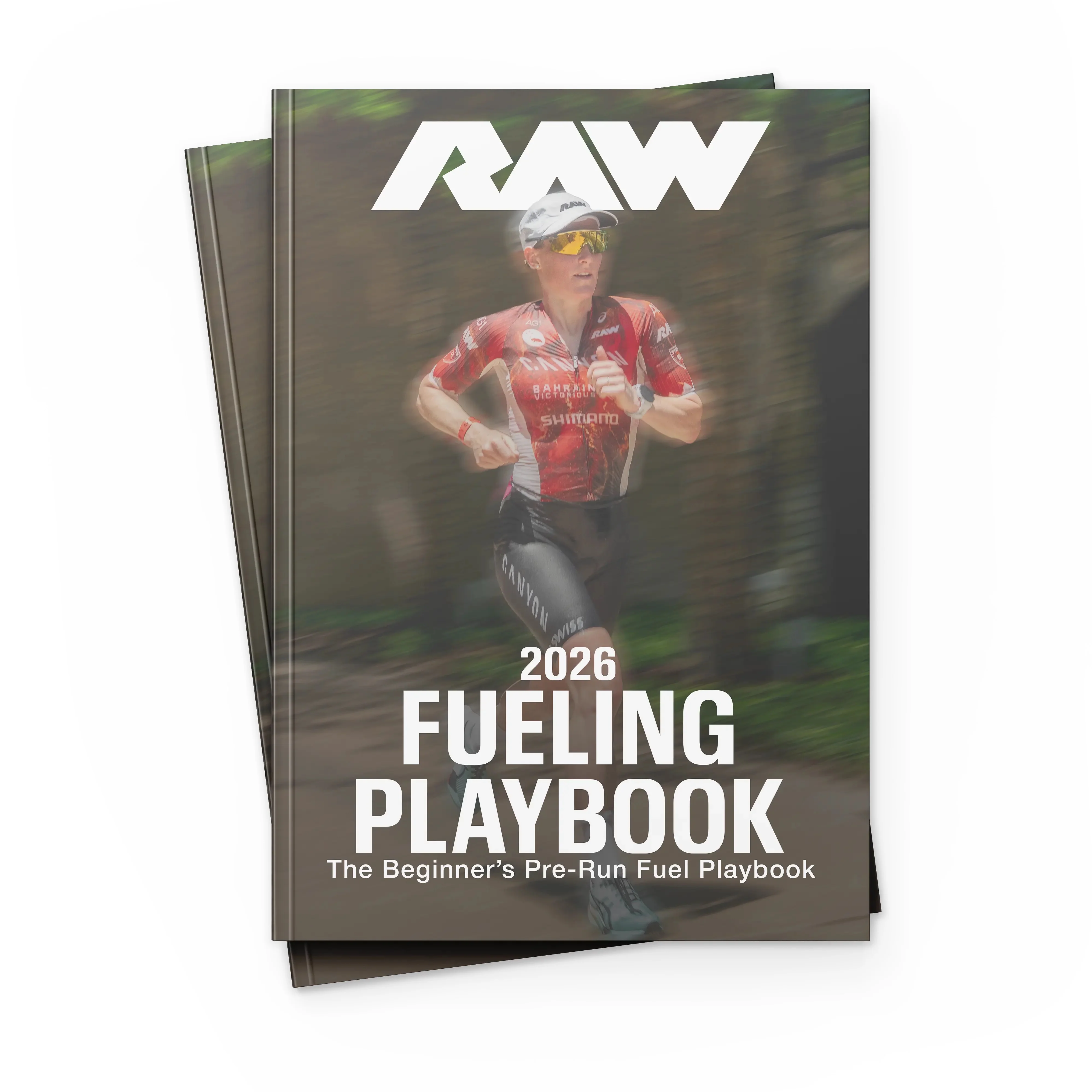 Endurance eBook